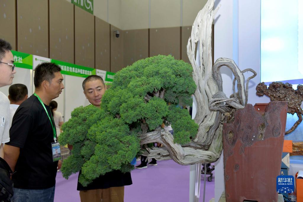 实体正规赌博